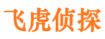 弥渡侦探公司